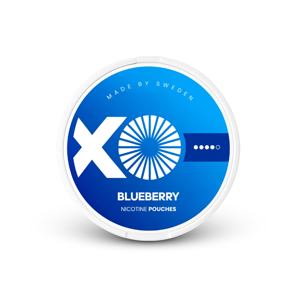 XO Blueberry – cutie de saci de nicotină