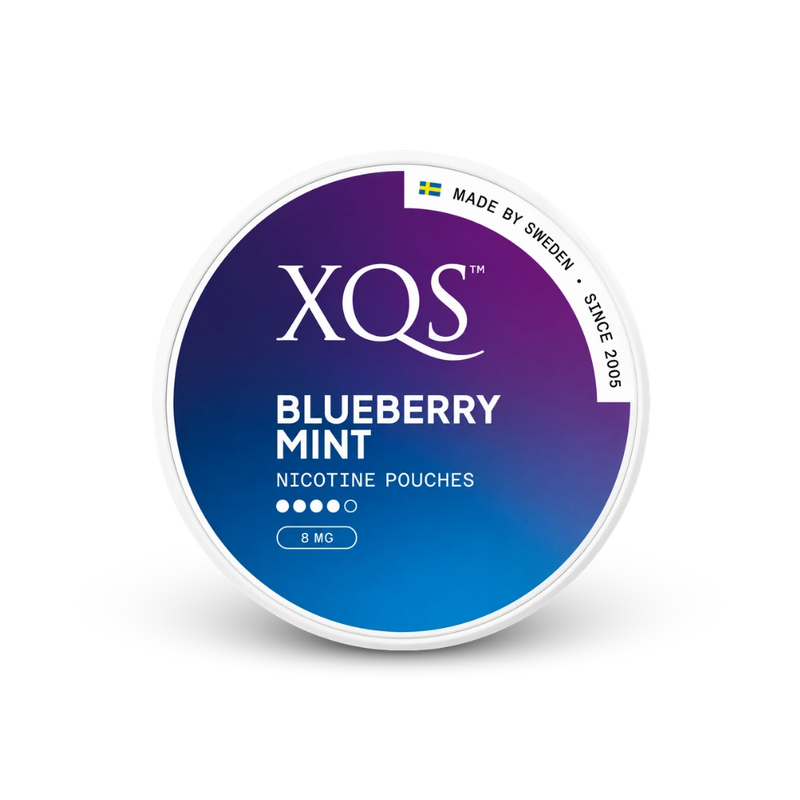 XQS Blueberry Mint Strong – cutie de pungute cu nicotină