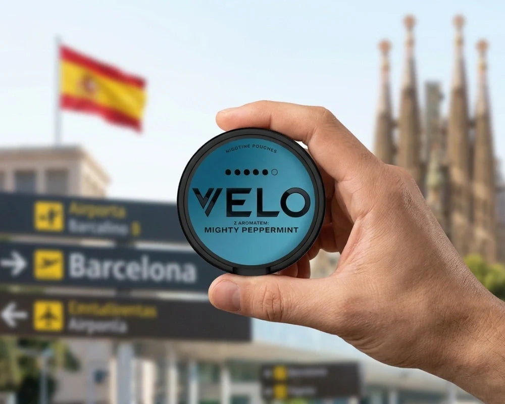 Mână ținând o cutie VELO Mighty Peppermint în fața semnelor rutiere din Barcelona, a unei steaguri spaniole și a Sagrada Familia