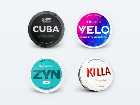 Este Snus Legal? Legislația privind pungile cu nicotină în Europa (2026)