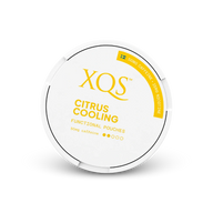 XQS Citrus Cooling Zero – cutie de pernuțe de nicotină